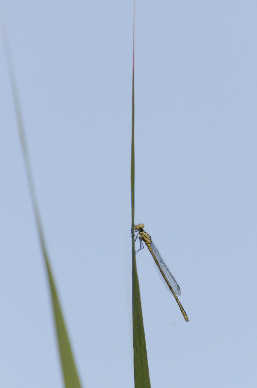 DSC_3019web.jpg