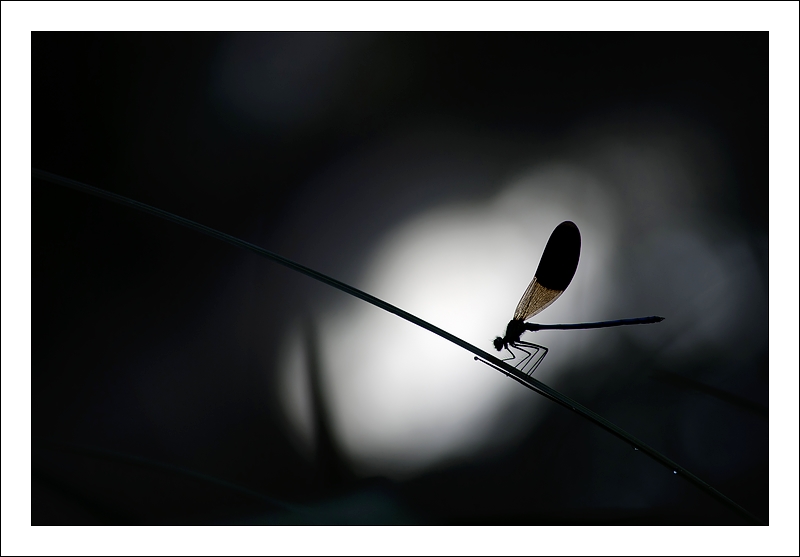 Puzzle_DSC0222.jpg