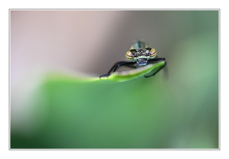 20120471.JPG