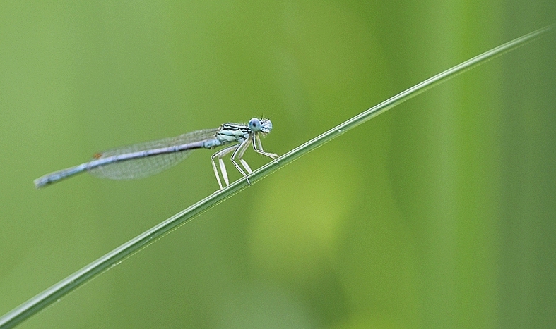 20120107194503-39f93213.jpg
