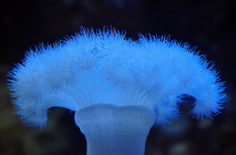 DSC_0212-1.jpg