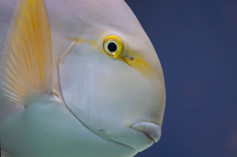 Poisson_forum.jpg