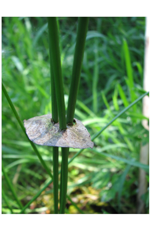composition moderne.jpg
