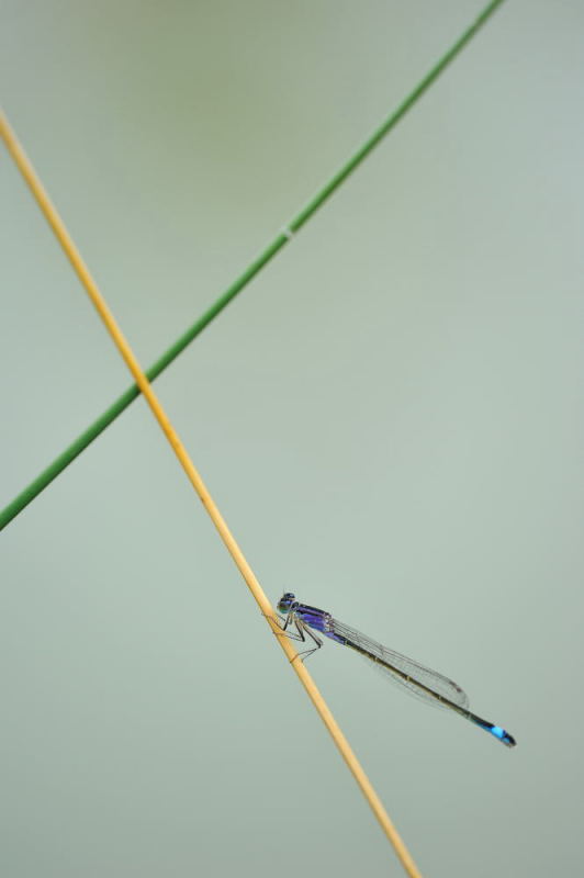 D70_2724_01.JPG