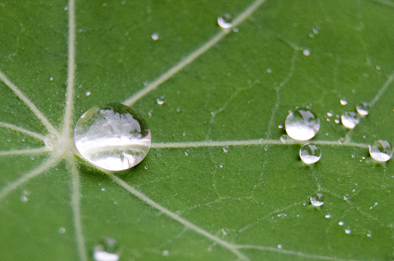 spheres-5787.jpg