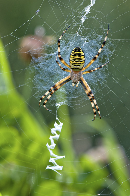 20100807_C@rlier_T_0872.jpg
