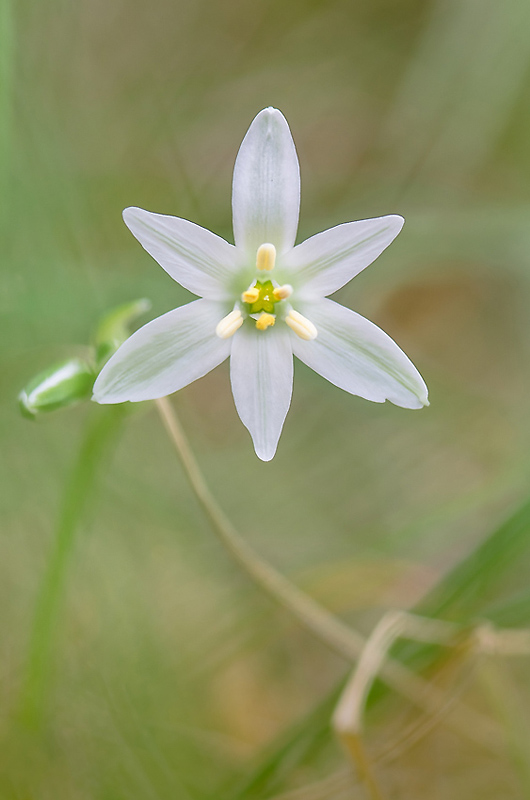 DSC_4995_XA.jpg