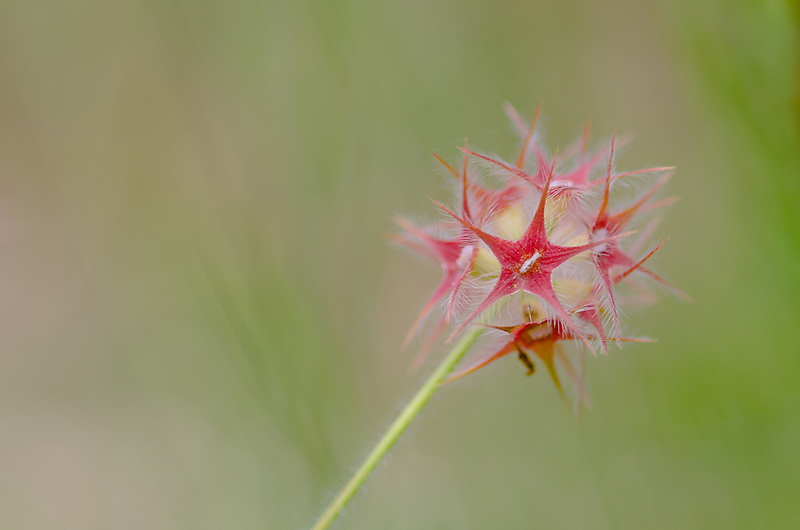 DSC_5945_XA.jpg