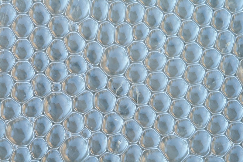 bulle_800.JPG