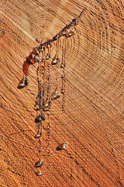 Résine - Image et Nature.jpg