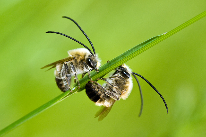 géométrie IN 3.jpg
