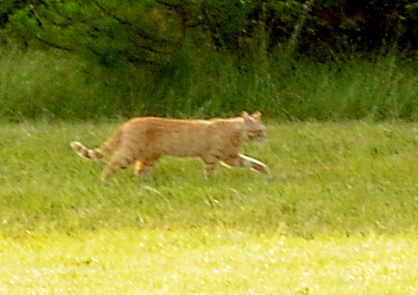 DSC_6658.JPG