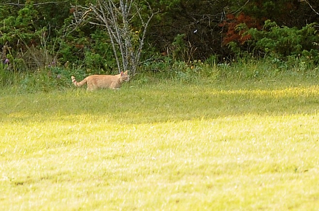 DSC_6664.JPG
