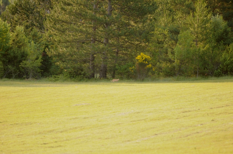 DSC_6663.JPG