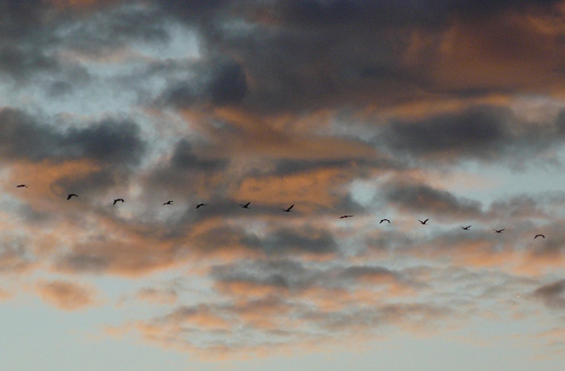 P1180387.copie.JPG