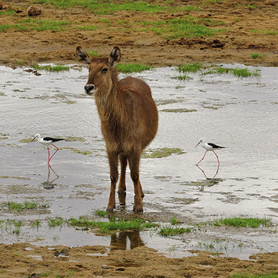DSC_6773b.jpg
