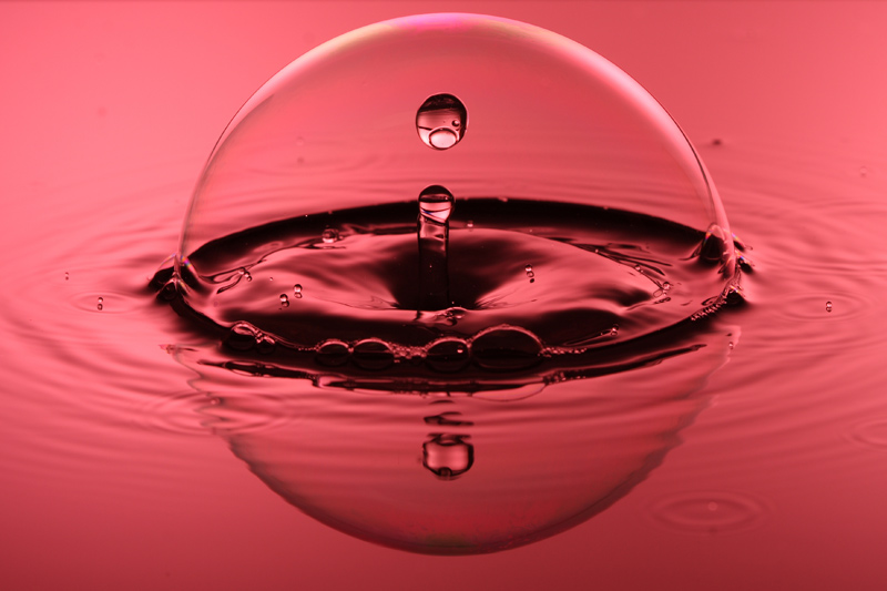 Pink-paradise.jpg