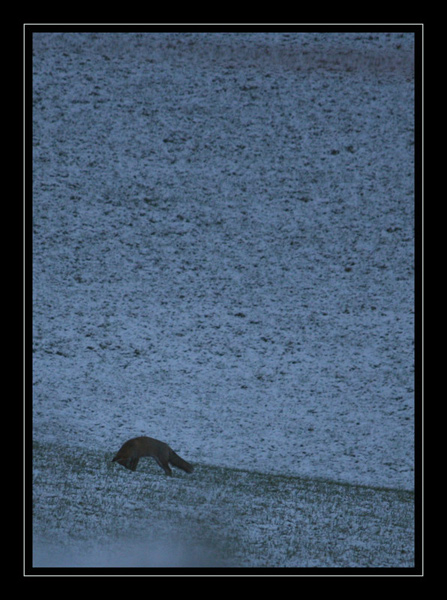 a7.jpg