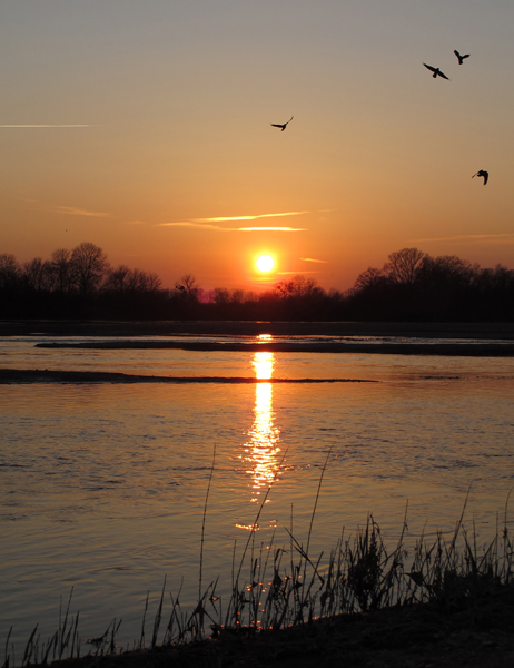 3 Coucher de soleil.jpg