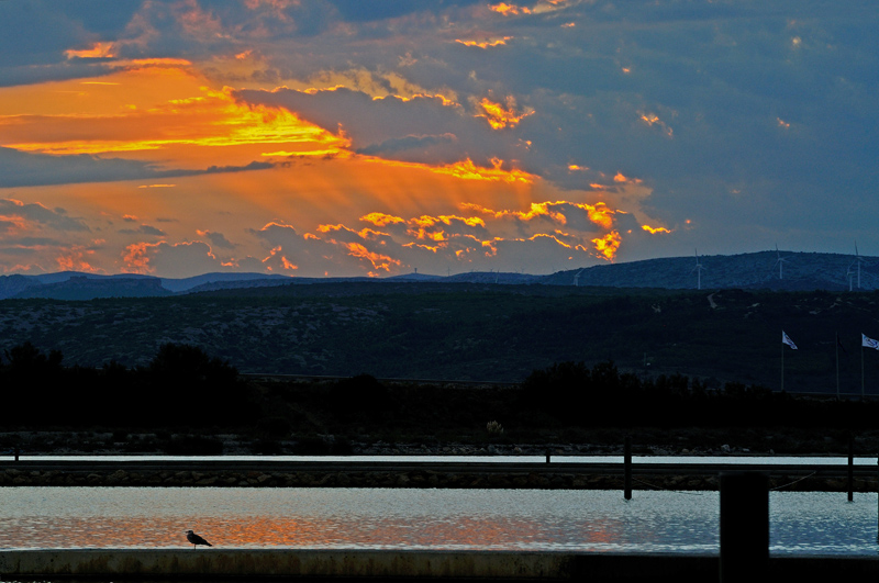 Coucher de soleil Port Leucate_modifié-1.jpg