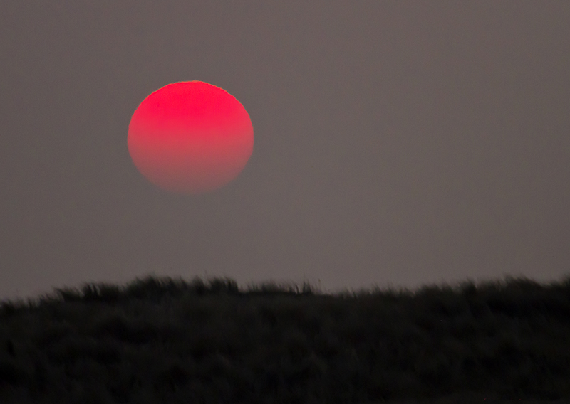 Coucher de soleil 5155B.jpg