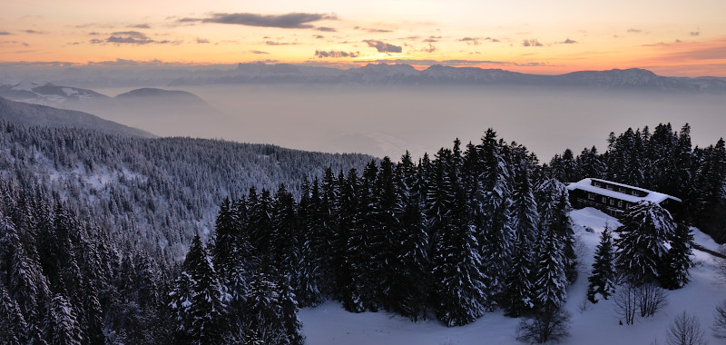 DSC_4916_01.JPG