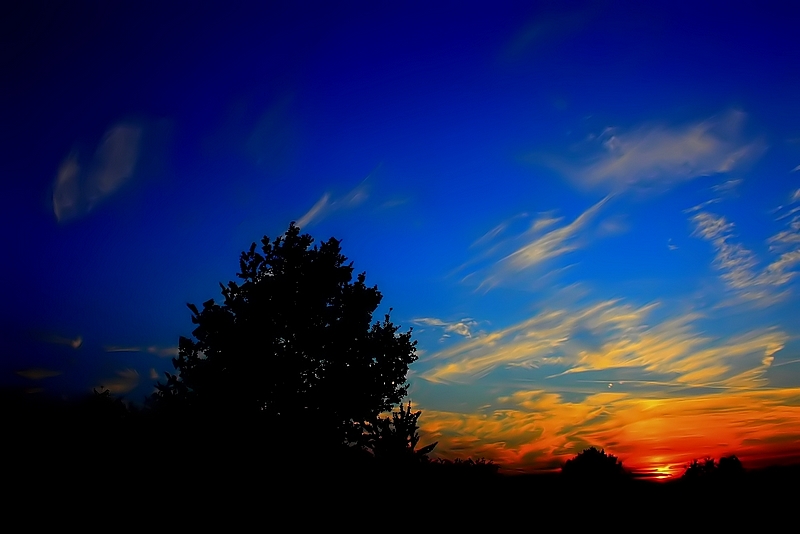 paysage 001.JPG