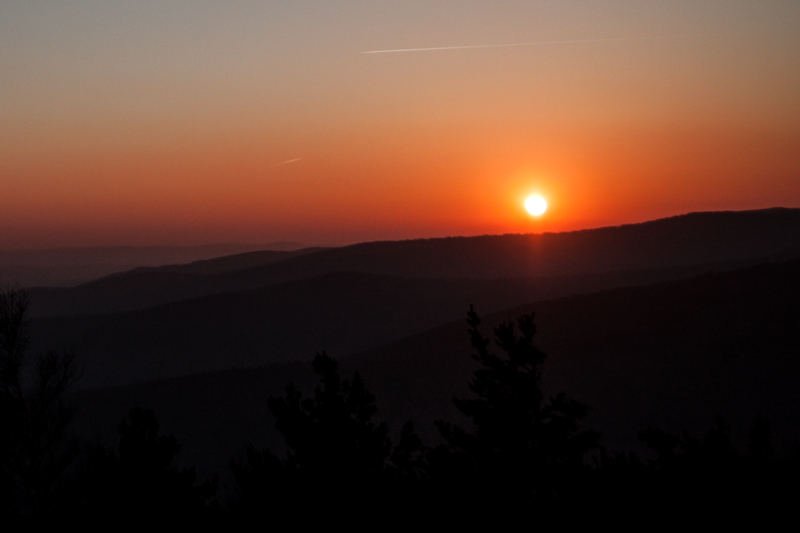 IMG_4331.jpg