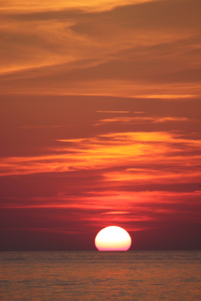 2010_06_24_4029R.JPG