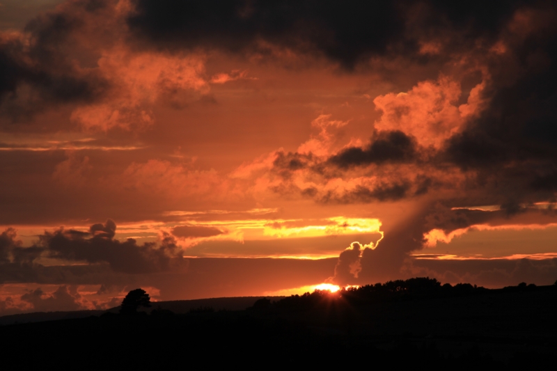 IMG_3687 (800px).jpg