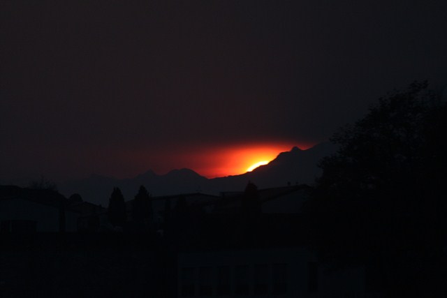 IMG_9114.1.jpg