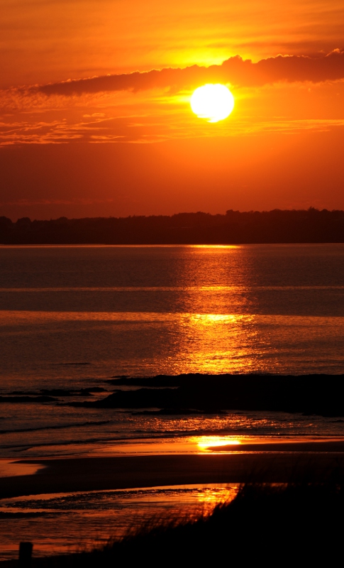 DSC_3511.JPG