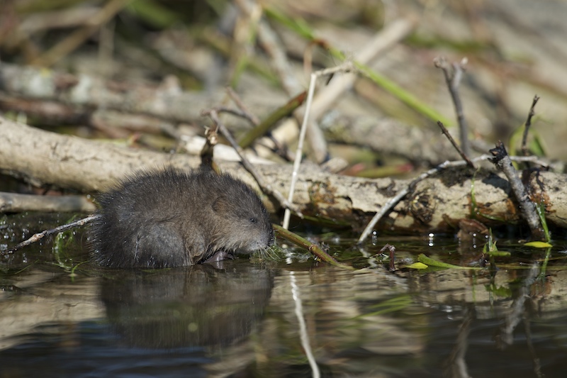 20120529 58_TIT5805.jpg
