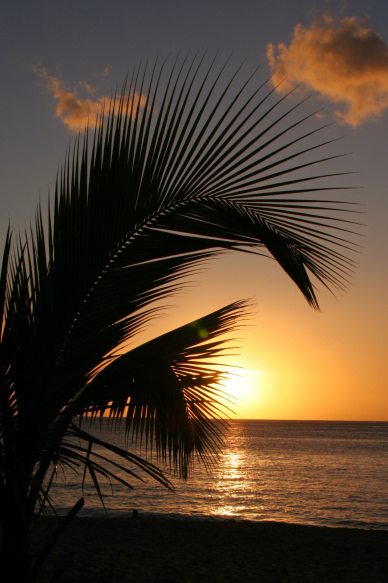 soleil 9263.jpg