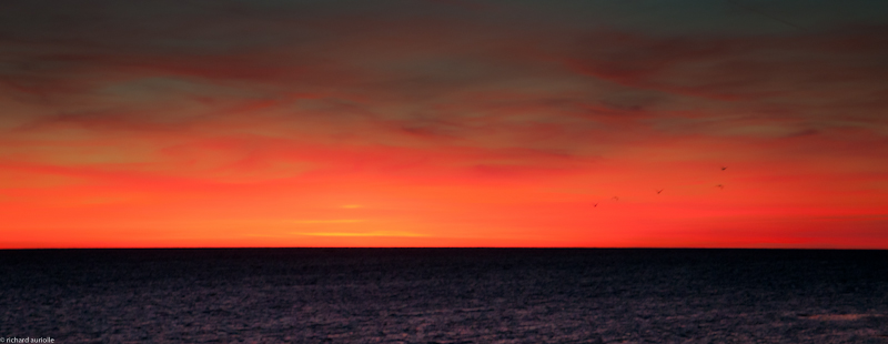 _DSC6989.jpg