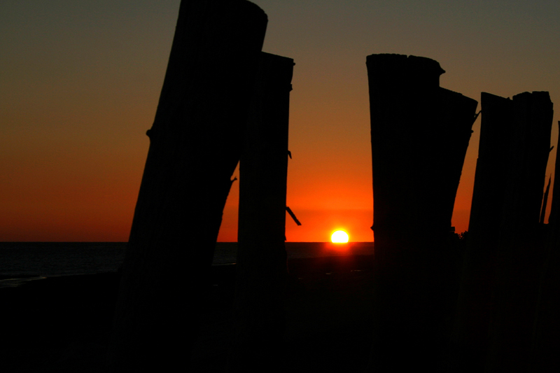 Image_Nature_01.jpg