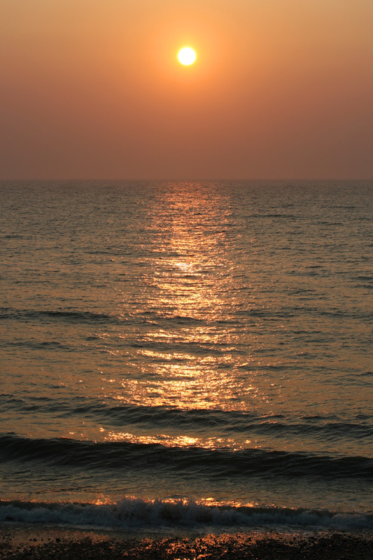 Image_Nature_02.jpg