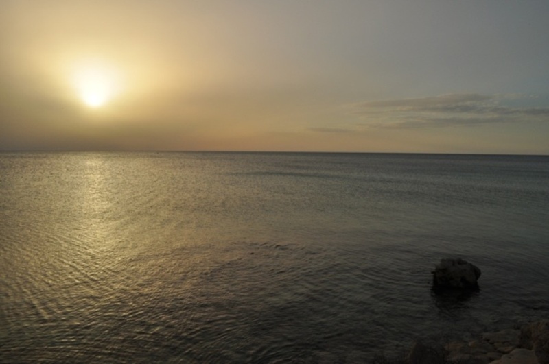 DSC_0088.JPG