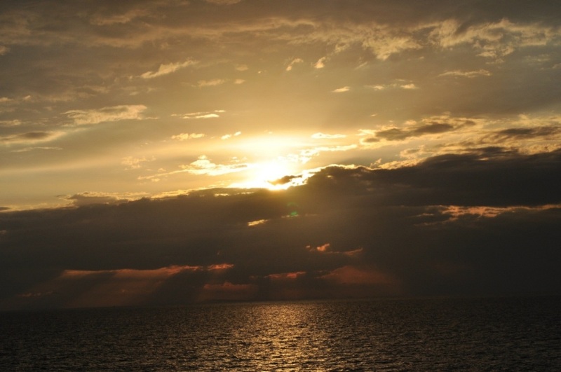 Immagine 318.jpg
