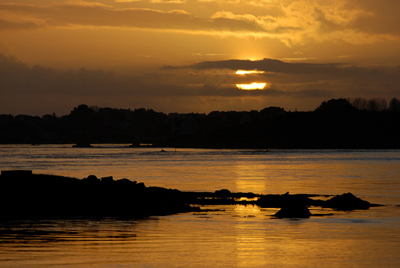 DSC_0341.jpg