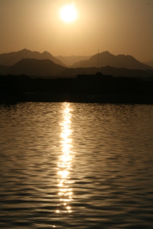 IMG_3786.JPG