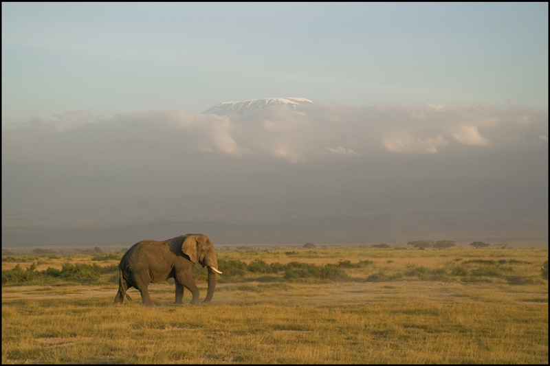 83-Au pied du Kilimanjaro.jpg