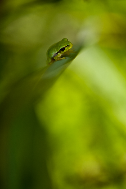 untitled-51-2.jpg